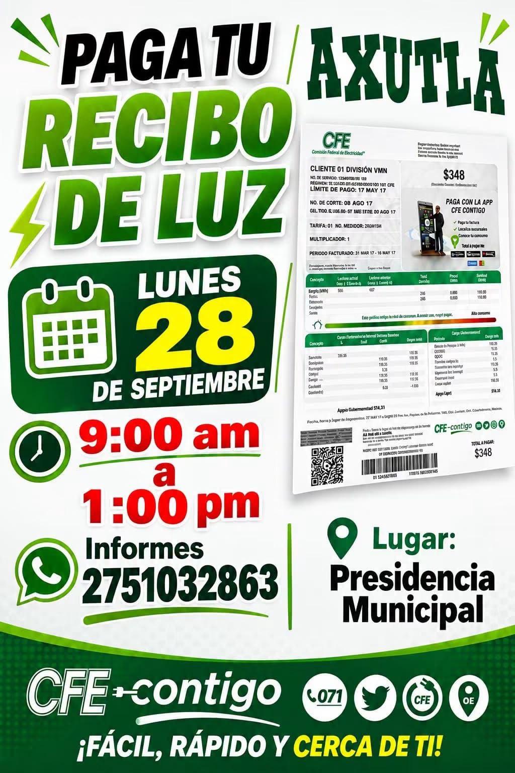 Pago del  servicio de la luz eléctrica